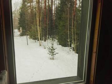 Фото номера Дом для отпуска Дома для отпуска Veselības Sala г. Мальта 40